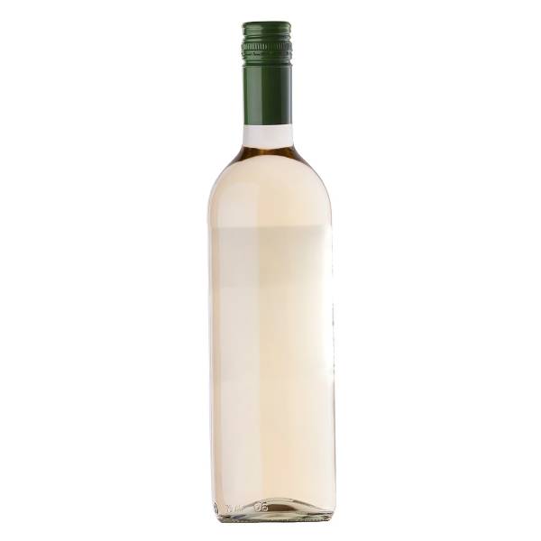 Chilean+Sauvignon+Blanc+-+No+Label.jpg